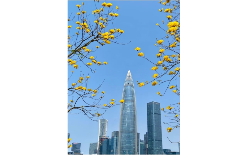 我国战略性新兴产业有效发明专利量达134.9万件